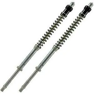 Soddisfatti O Rimborsati Cartuccia forcella per Honda CB 600 F Hornet '05-'08 Matris F20K kit
