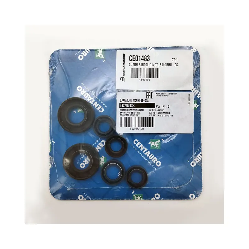Economico Guarn.Paraolio Mot. F.MORINI2T per MALAGUTI Grizzly 50 84-89